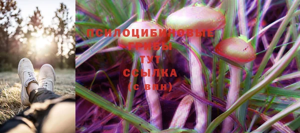 прущая мука Балахна